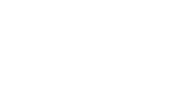 Vans_Flying_V